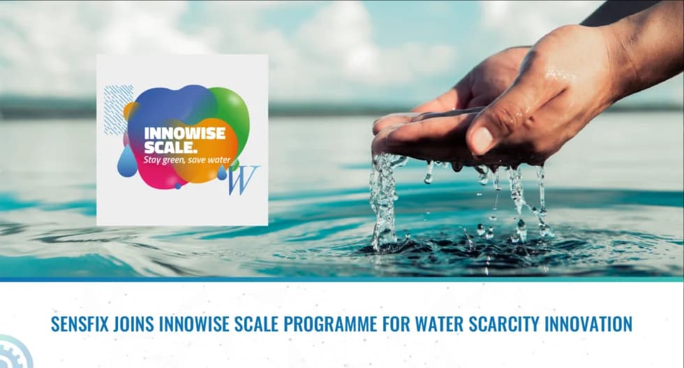 InnoWise Scale Programme